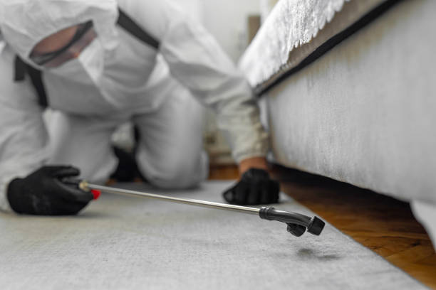 Professional Ant Control technician working in White Castle, LA