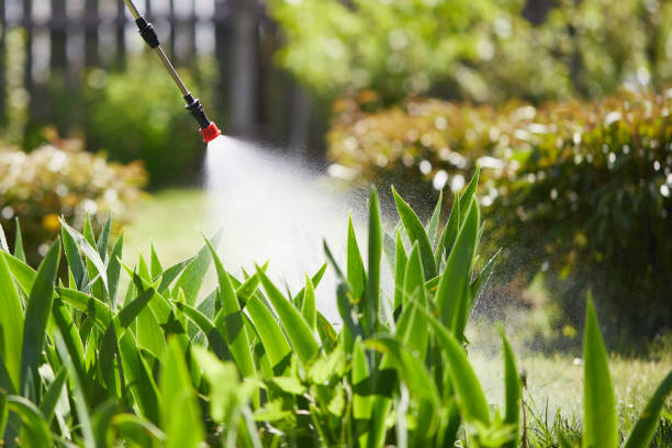 24/7 Emergency Wasp Removal experts in White Castle, LA