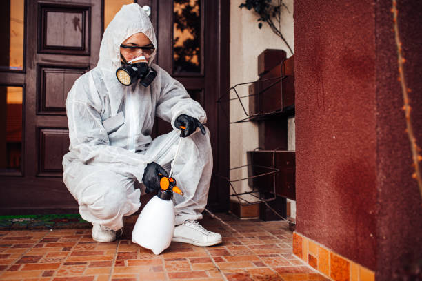 Reliable Wasp Removal contractor in White Castle, LA by Show Me Pest Control